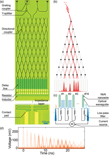 Integrated photonic Galton board and its application for photon counting paper figure preview